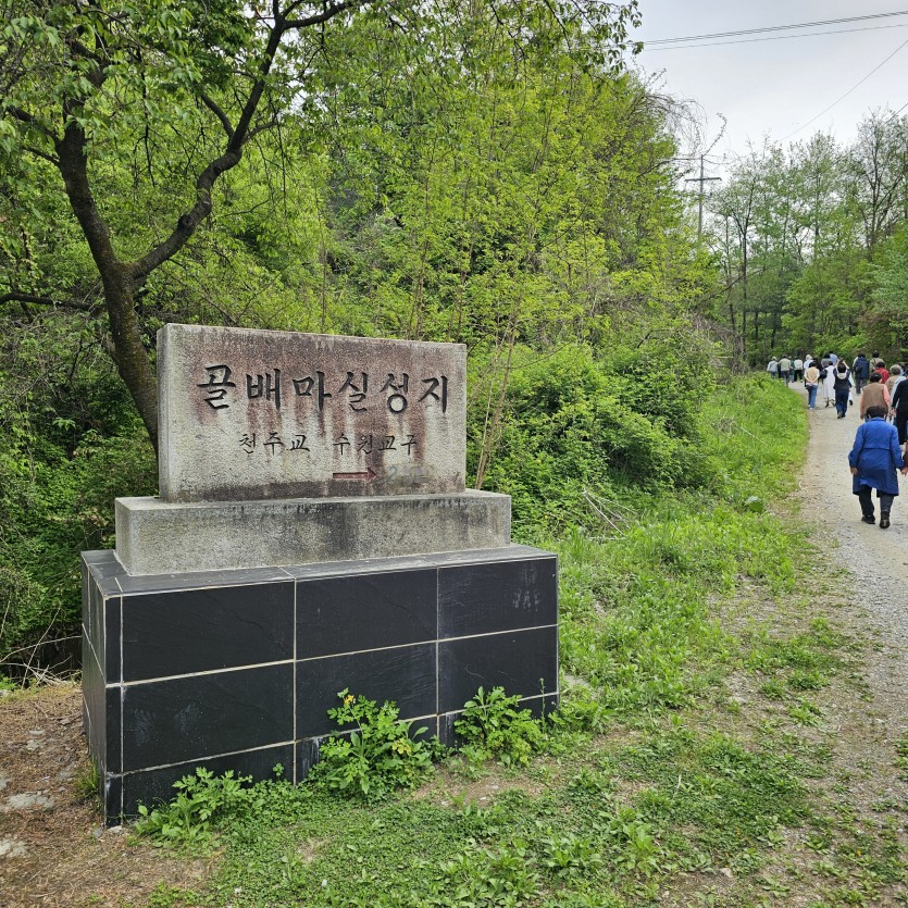4552635da89adeebe9ce5c37cfc2de56_1716275764_3454.jpg
